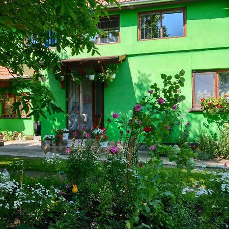 فندق Csergo Ildiko Vendeghaz Lăzarea المظهر الخارجي الصورة