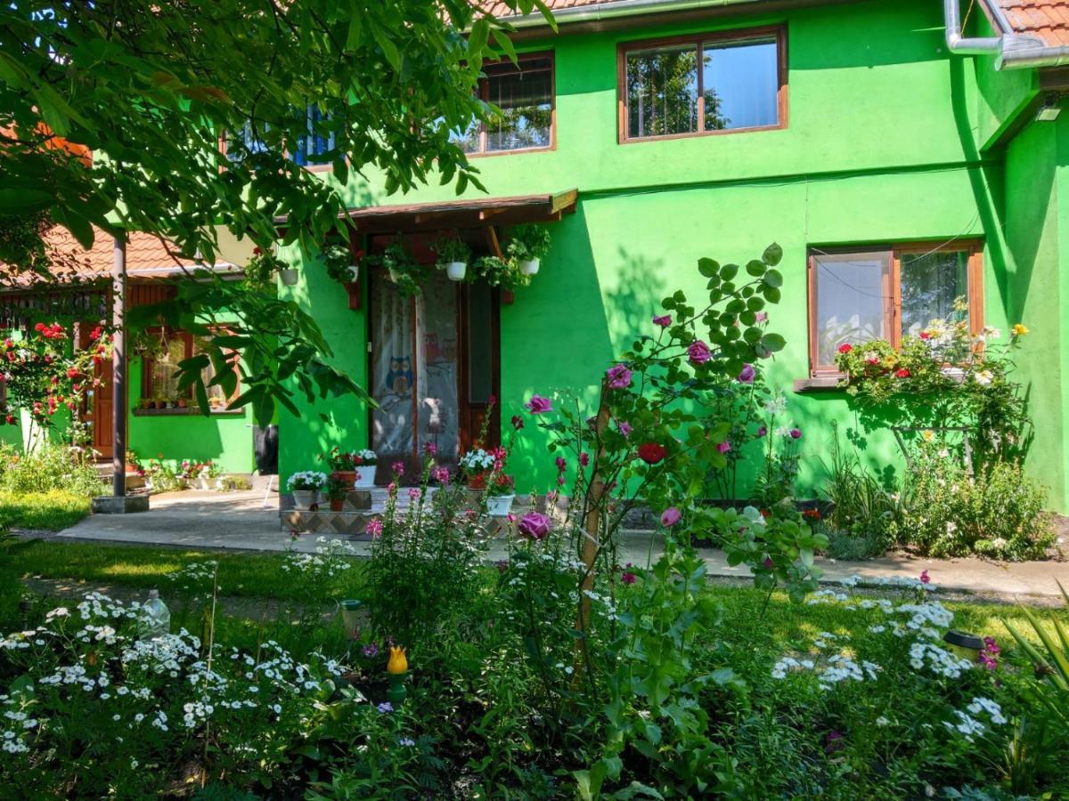 فندق Csergo Ildiko Vendeghaz Lăzarea المظهر الخارجي الصورة